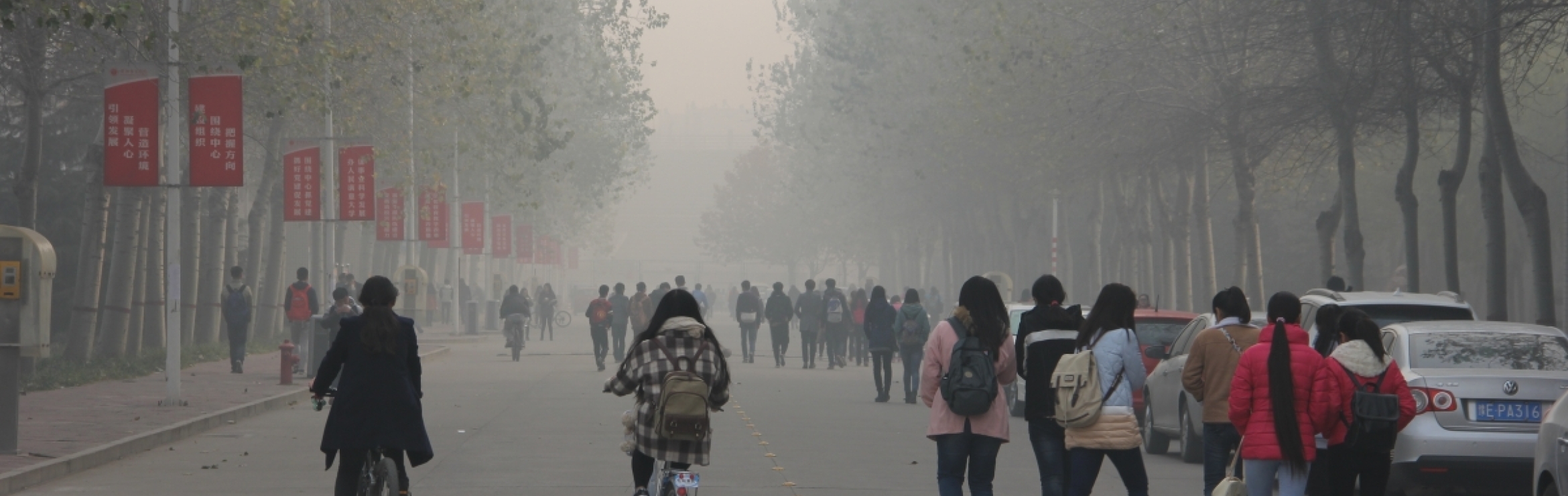 people walking in smoggy air