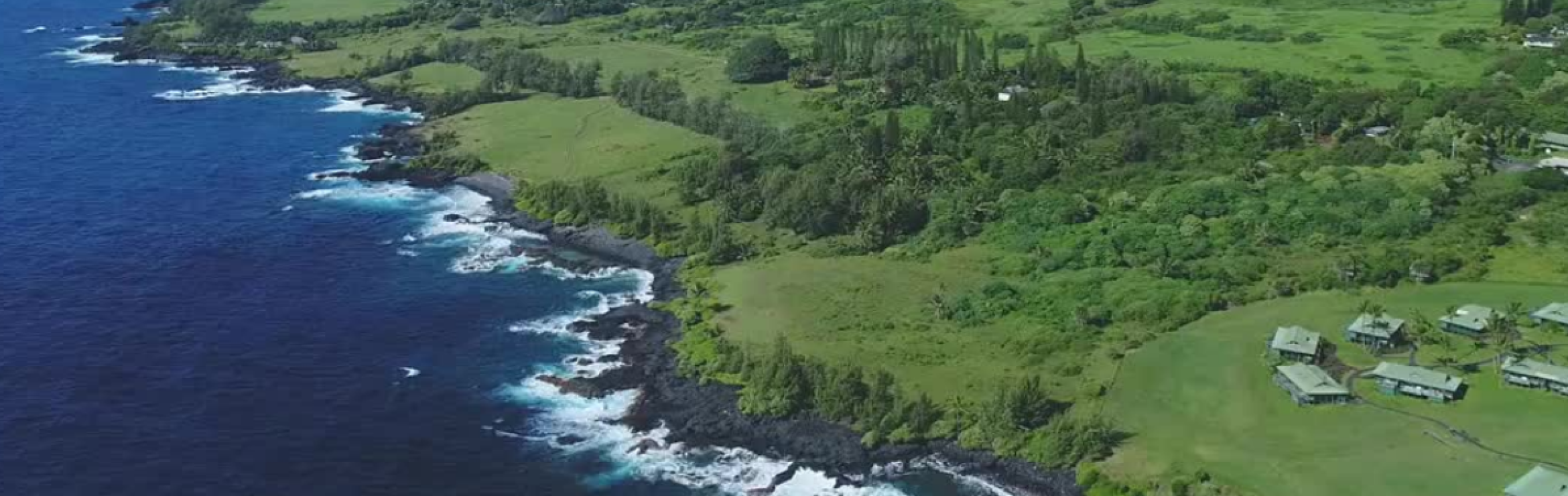 Hawaiian coastline