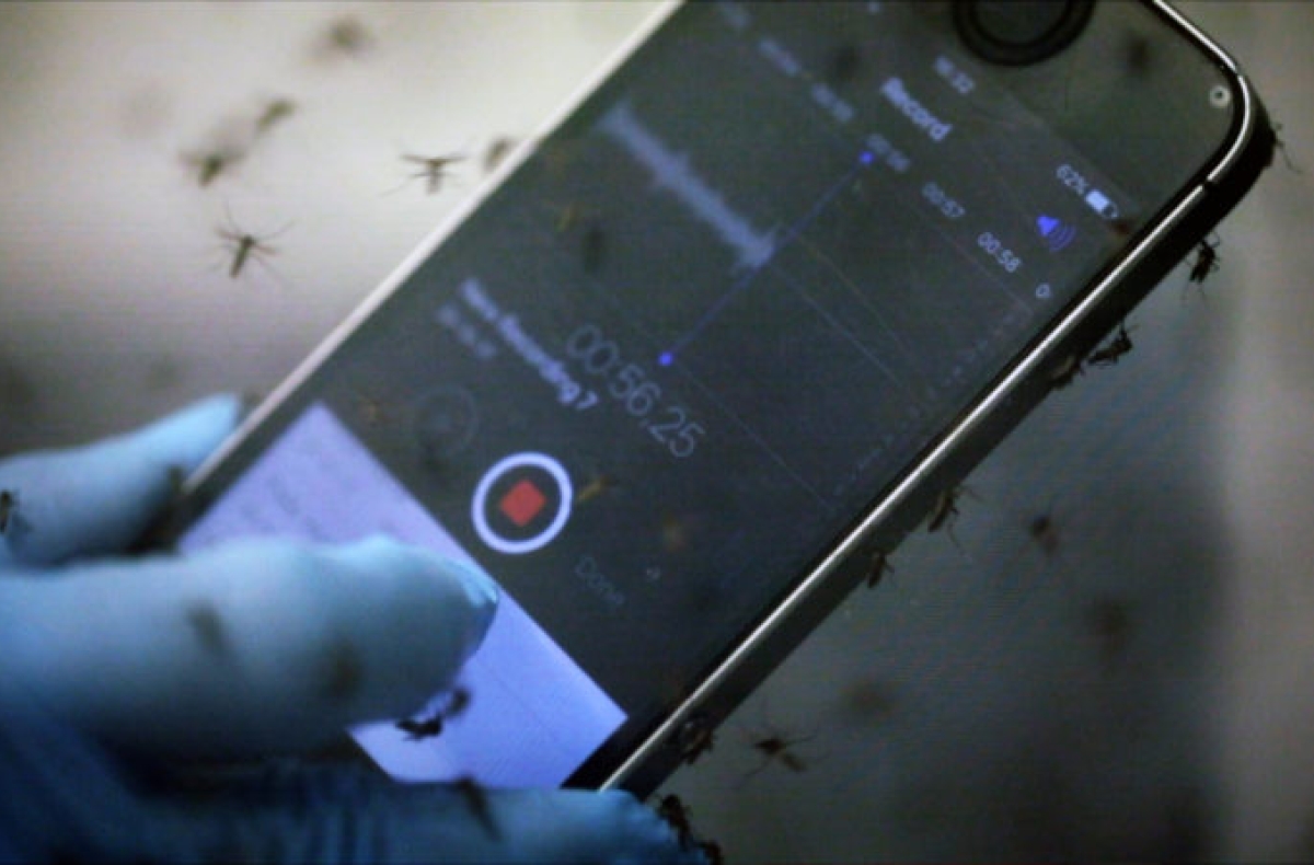 hand holding cell phone amid mosquitoes