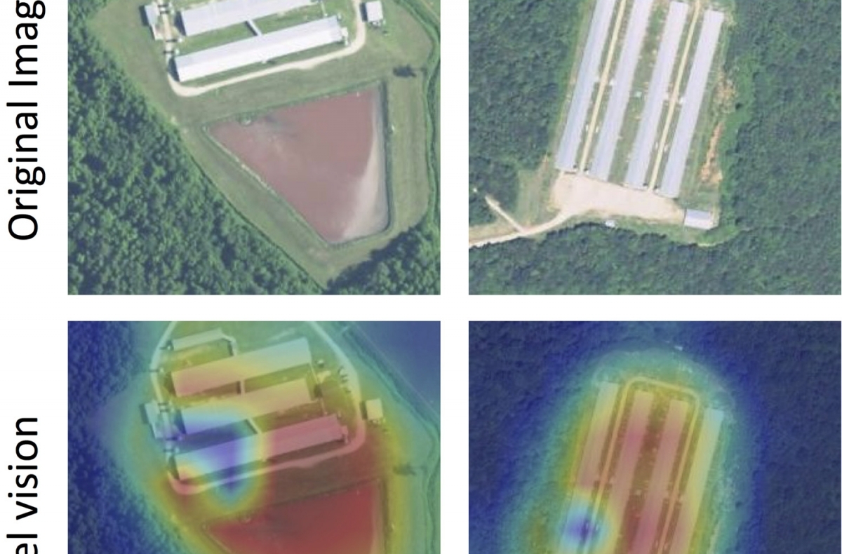 heat map