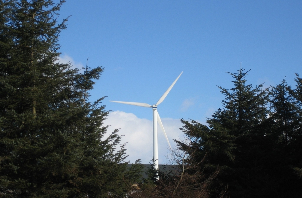 wind turbine and trees