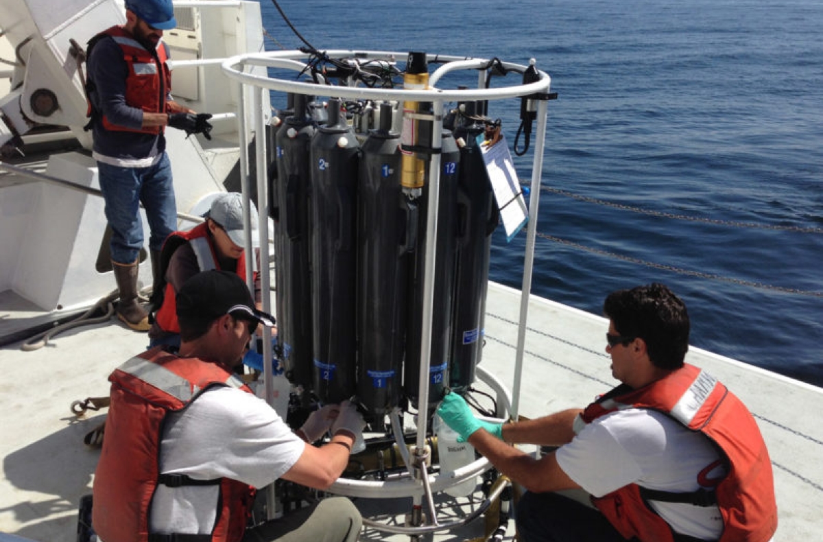 Team members from the Monterey Bay Aquarium Research Institute collect water from Monterey Bay for eDNA analysis.