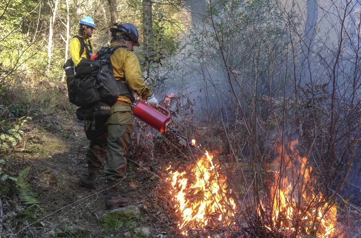 firefighters