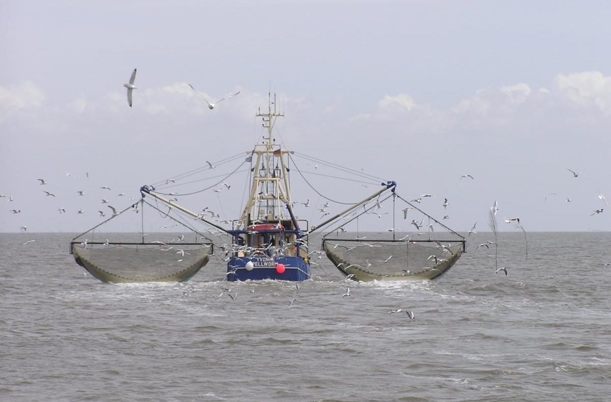 crab fishing ship