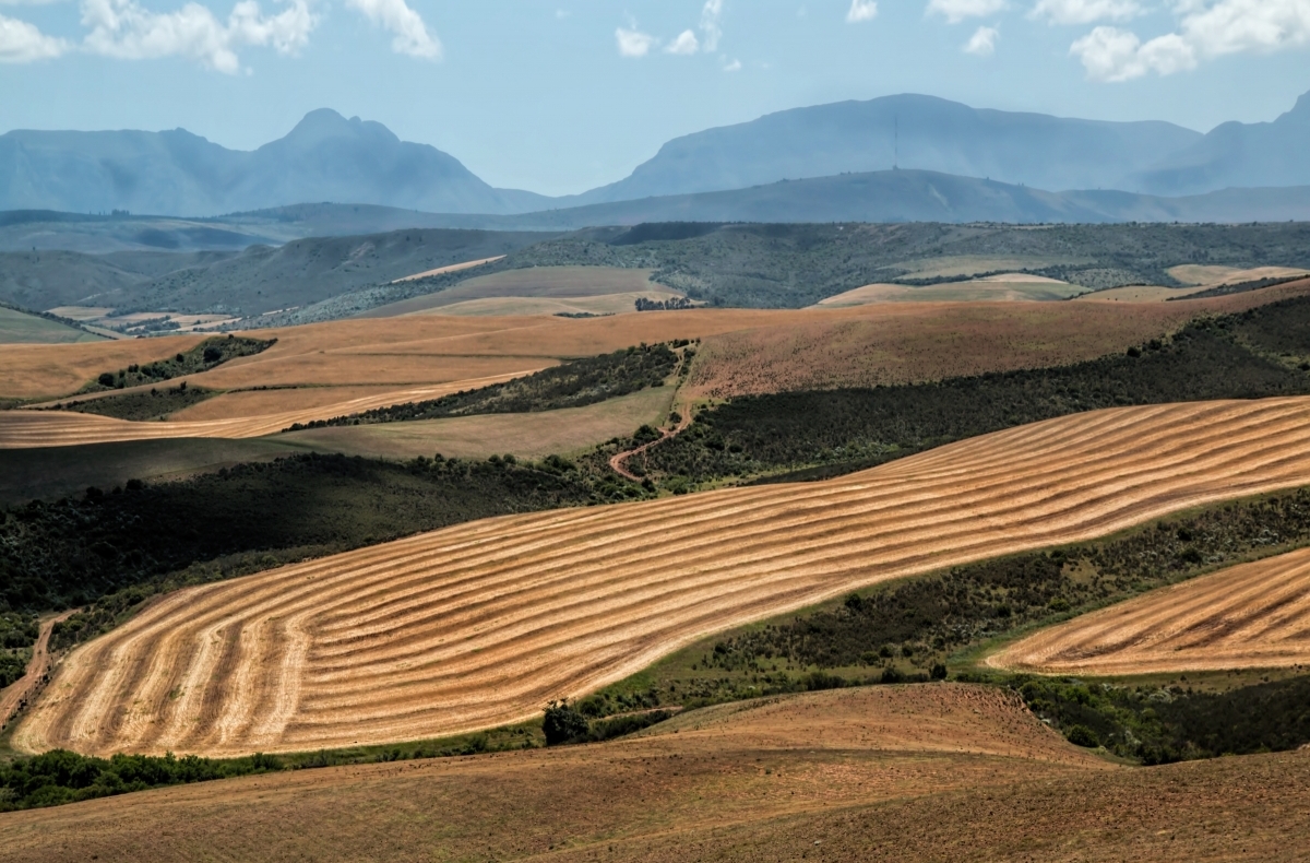 Agriculture in Africa