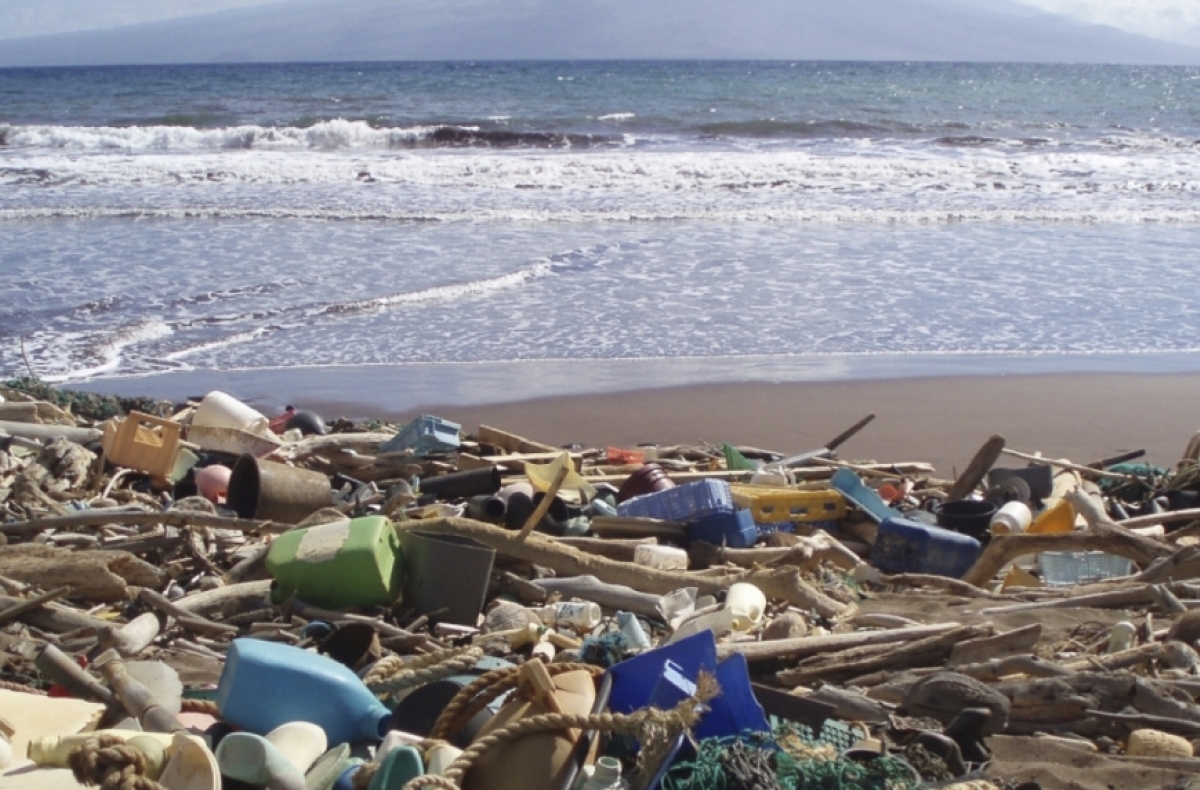 Plastic waste on a beach in Hawaii	