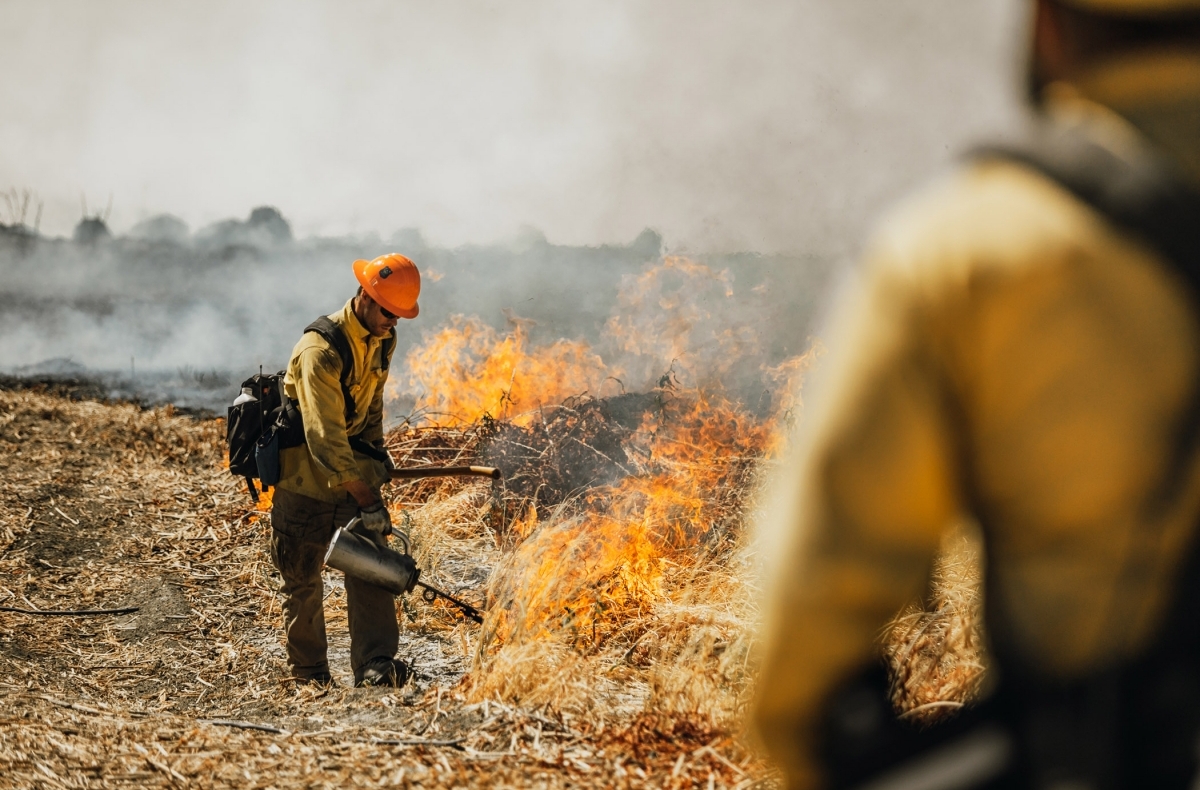 Firefighter perform prescribed burn