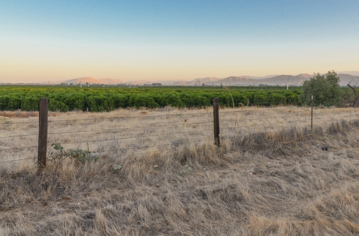 farmland