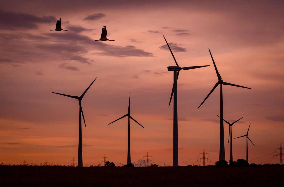 wind turbines