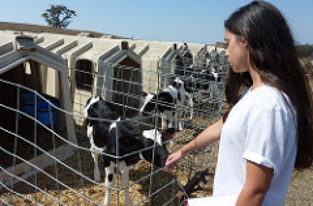 Stanford student Victoria Mendez visiting an organic dairy farm as part of her work on agricultural conservation easements for the California Department of Conservation.