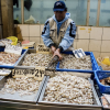 a man stands behind buckets of seafood at a market