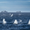 Fin whales surround the research vessel National Geographic Endurance in January 2022. (Image credit: Video by Eric Wehrmeister)