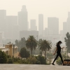 A woman walks her dog with a smoky city scape in the background