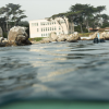 Hopkins Marine Station as seen from the Monterey Bay. 