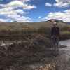 Man next to Beaver Dam