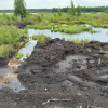 A peatland site at Linnunsuo in North Karelia, Finland.