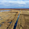 Wetlands in Russia