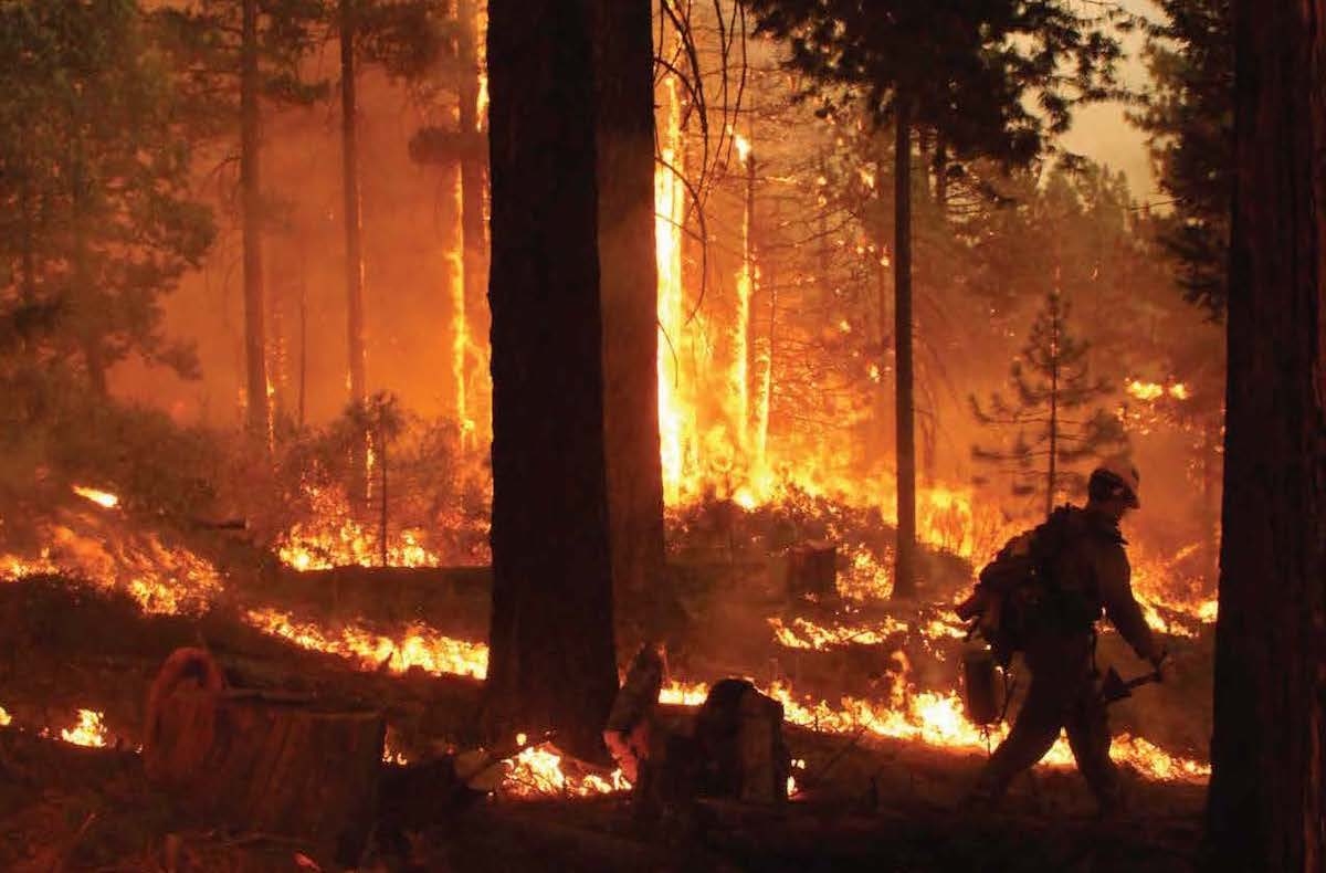 Fire fighter during wildfire