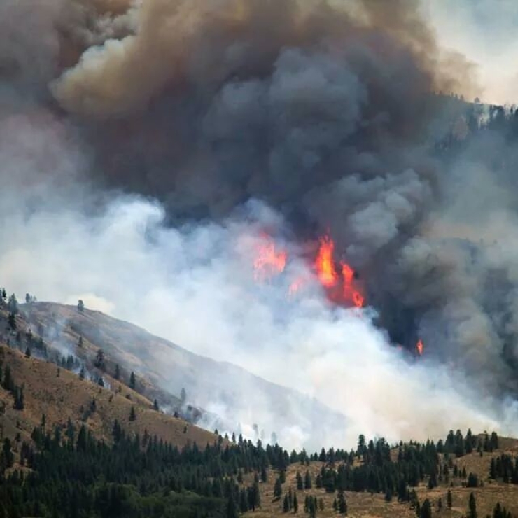 A wildfire burns on a forest hillside as smoke billows above