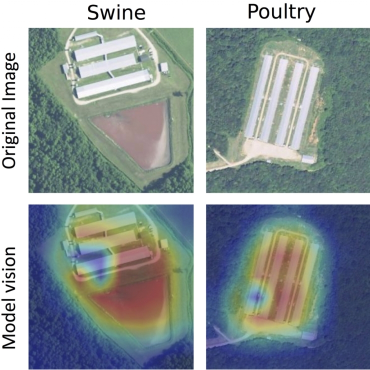 heat map