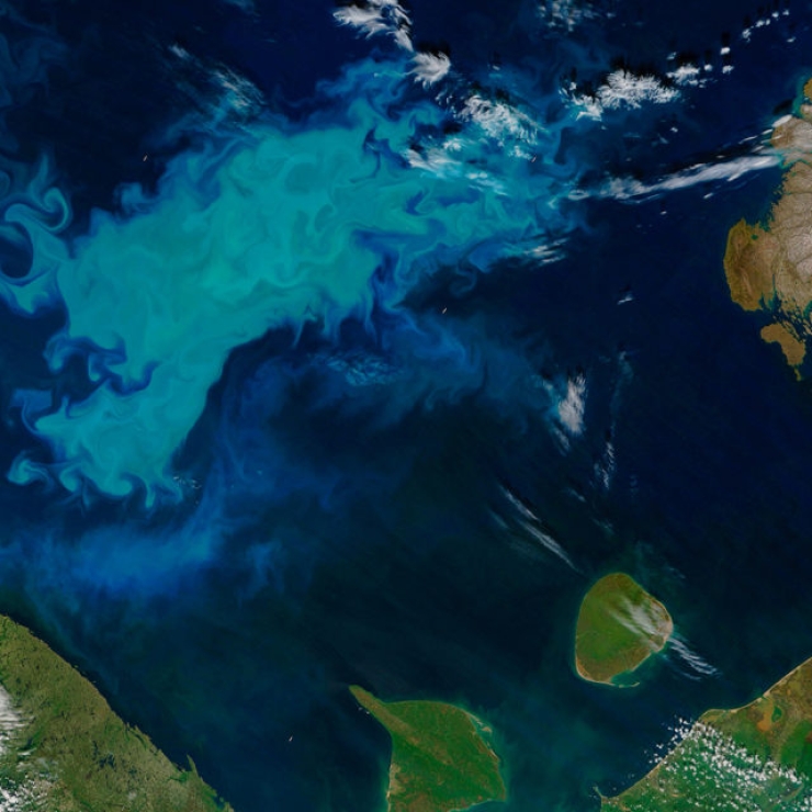 A light blue bloom of phytoplankton in the ocean