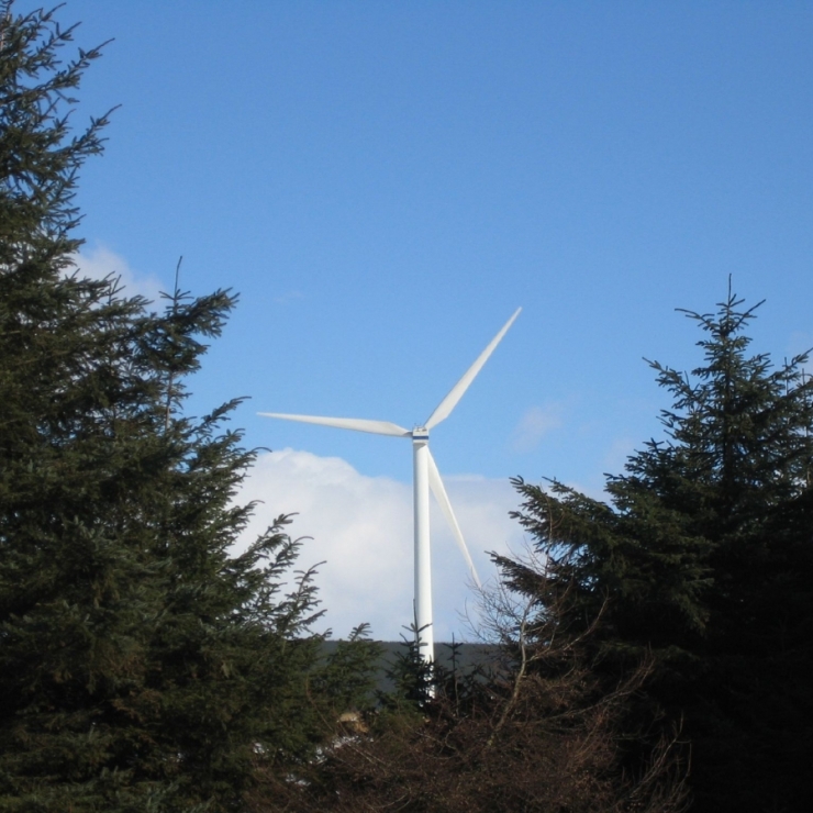 wind turbine and trees