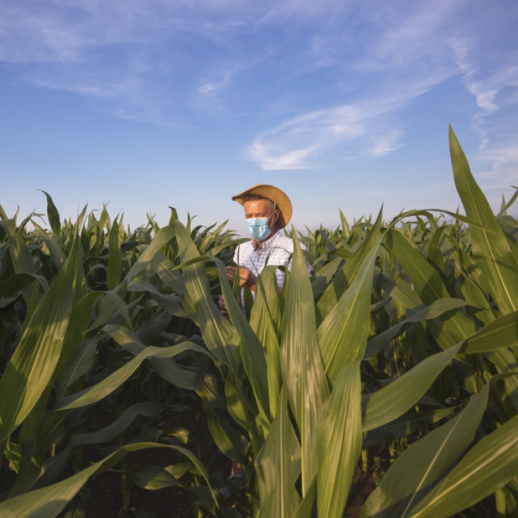 a man in a mask standing in a field with tall plants