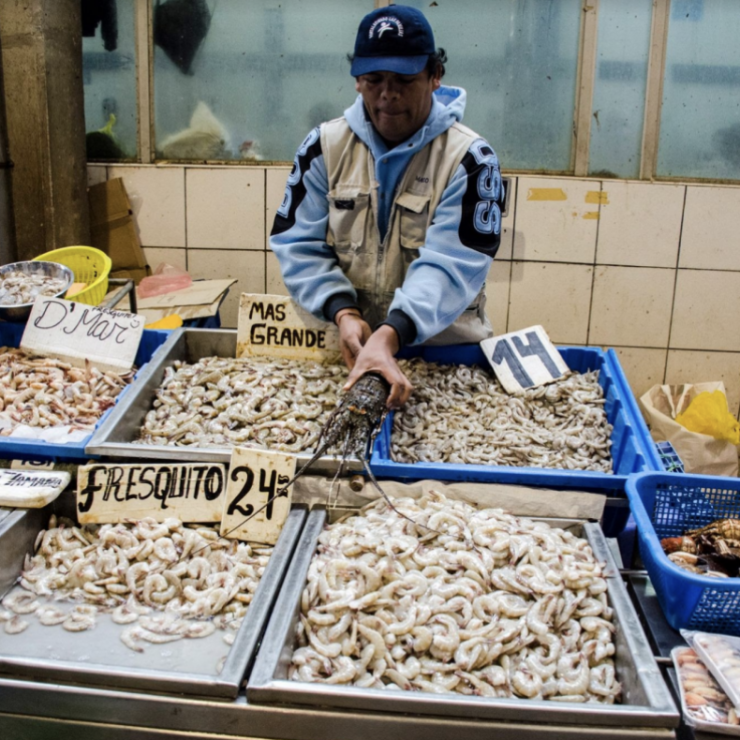 a man stands behind buckets of seafood at a market