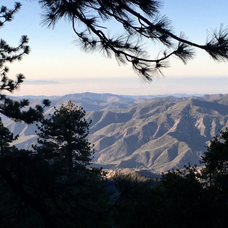 Mountains with trees in the foreground