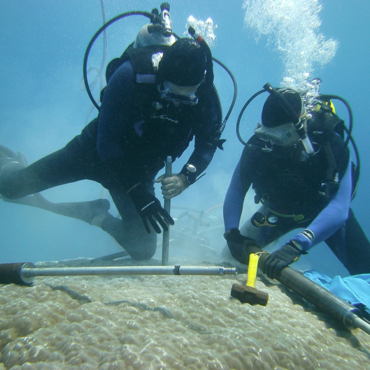 divers and coral