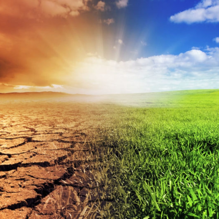 illustration of desert and green field