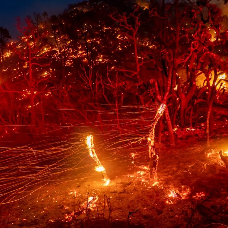 The Sheep Fire burns a hillside near Wrightwood, Calif., on June 12, 2022.