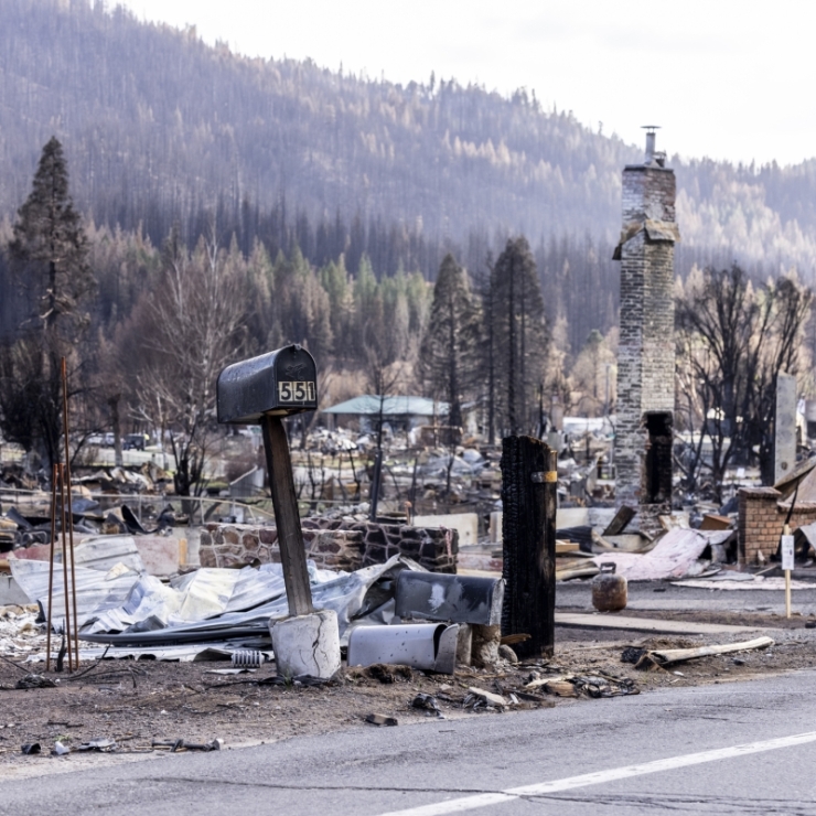 wildfire damage