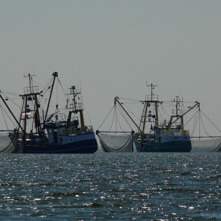 ships on the ocean