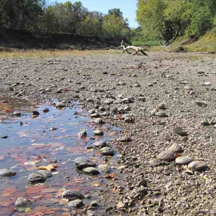 dry creekbed