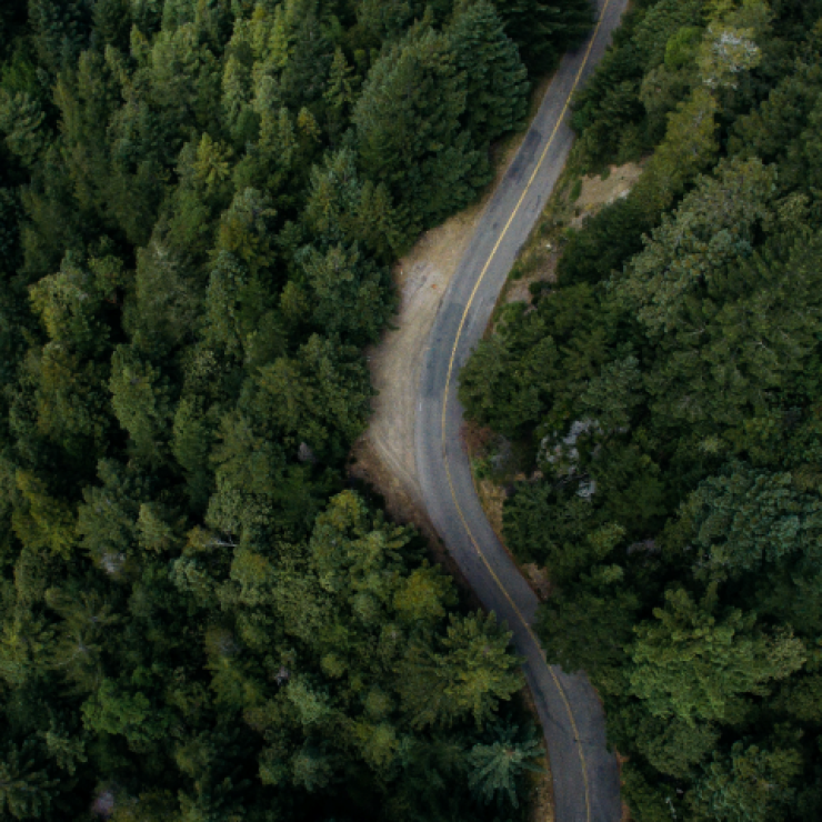 a road winds through a forest