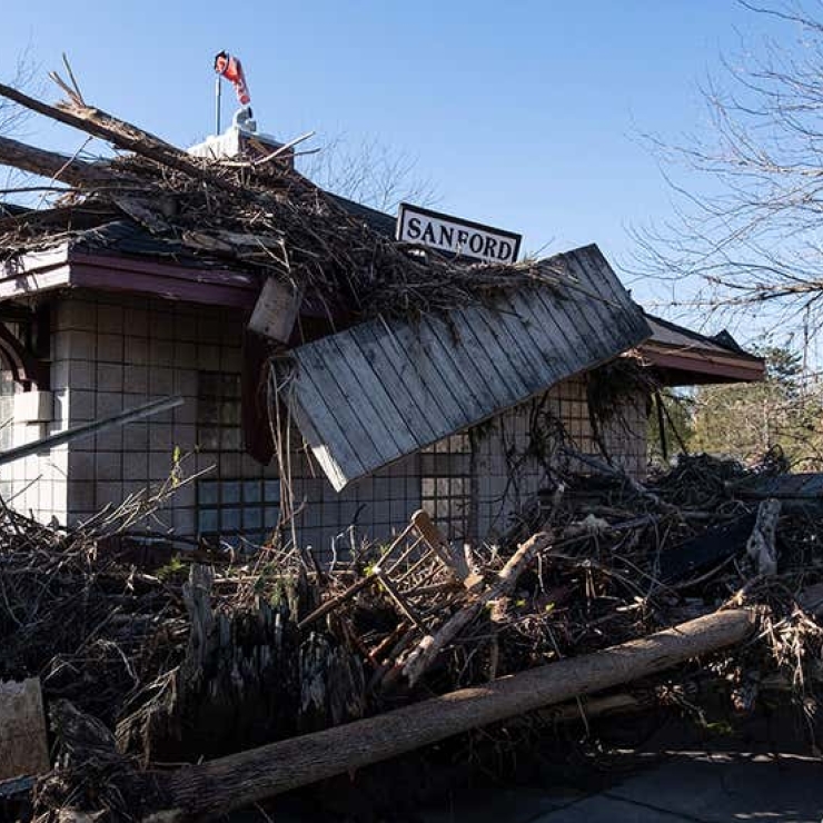 Remains after a fire