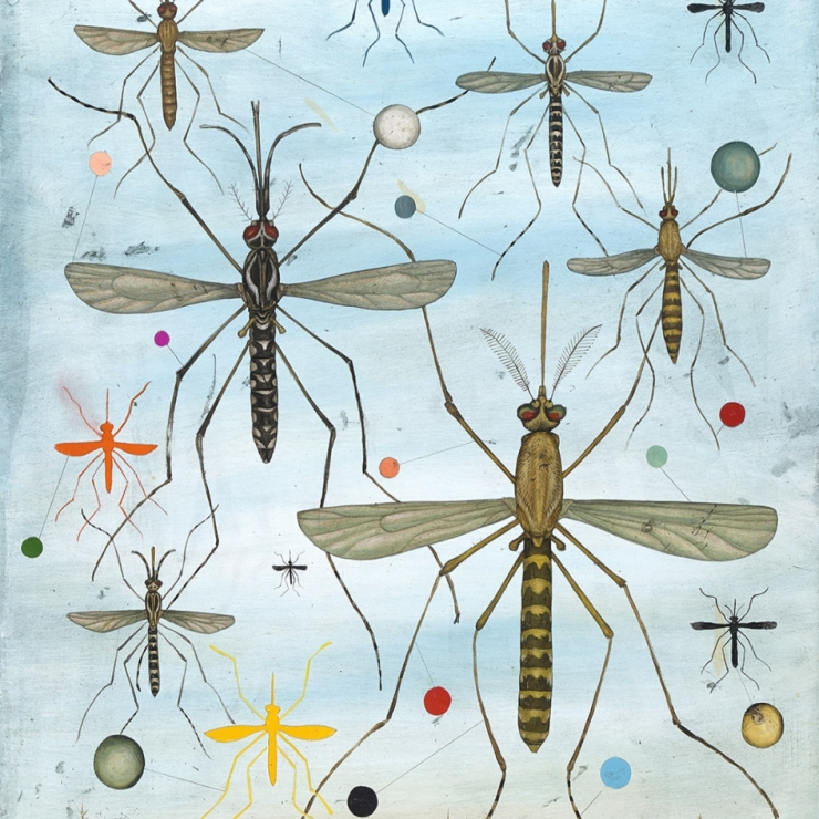 illustration of mosquitoes