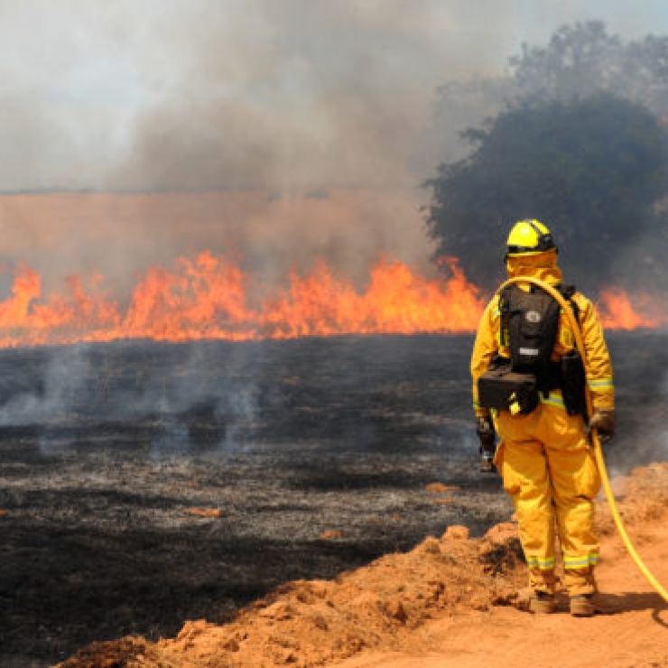 Firefighter monitors prescribed burn