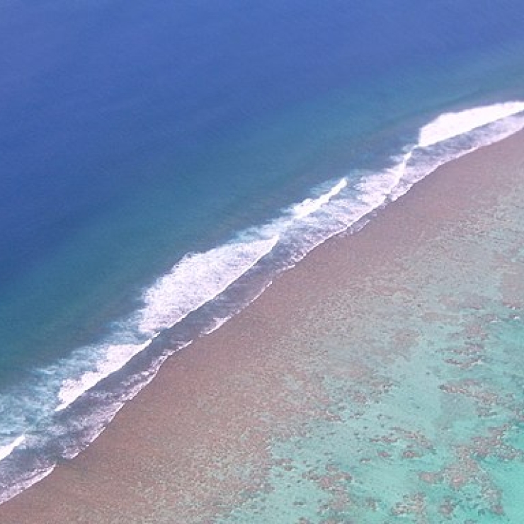 A coral reef outside of Aitutaki, Cook Islands.