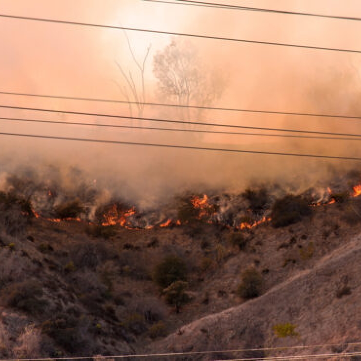 A brush fire burns on a hillside.