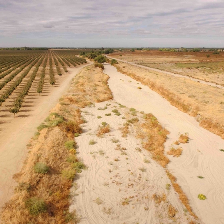 dry farmland in California's San Joaquin Valley