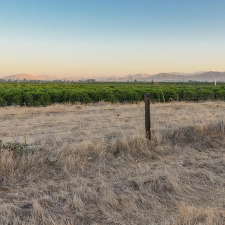 farmland