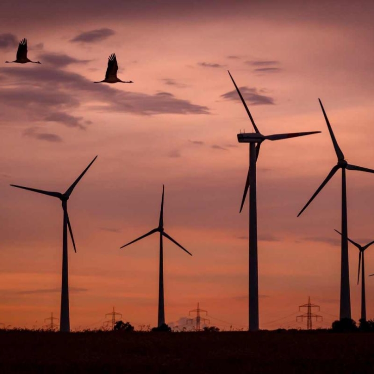 wind turbines