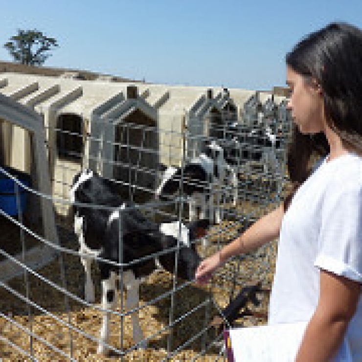 Stanford student Victoria Mendez visiting an organic dairy farm as part of her work on agricultural conservation easements for the California Department of Conservation.