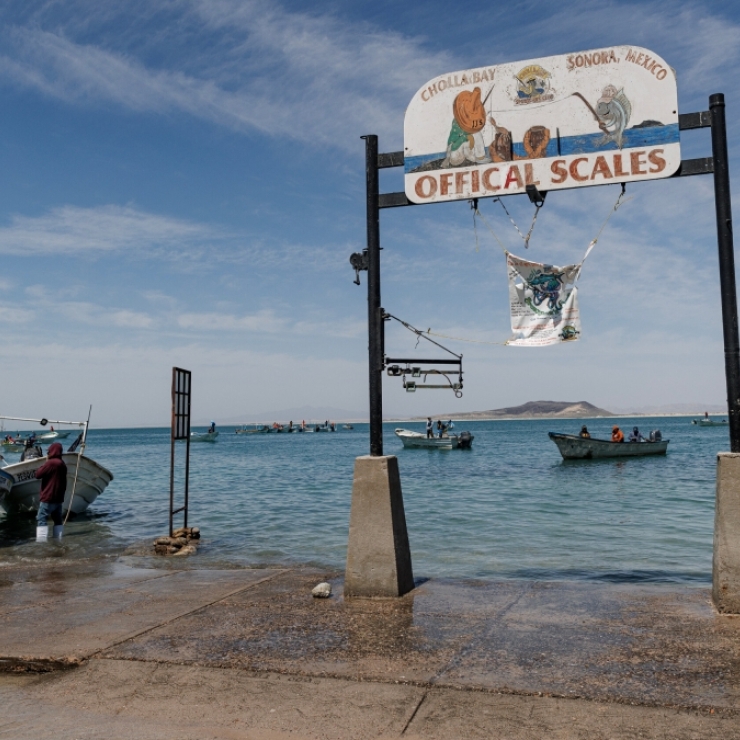 Shrimp boats in Puerto Peñasco, Mexico, after a day of fishing in the Gulf of California.