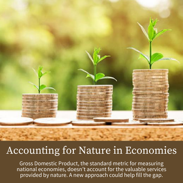 Accounting for Nature in Economies; Gross Domestic Product, the standard metric for measuring national economies, doesn’t account for the valuable services provided by nature. A new approach could help fill the gap.