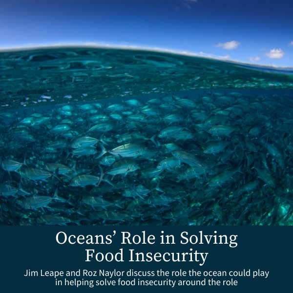 Oceans’ Role in Solving Food Insecurity; Jim Leape and Roz Naylor discuss the role the ocean could play in helping solve food insecurity around the role