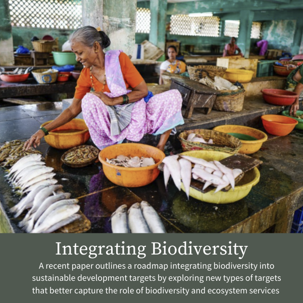 Integrating Biodiversity; A recent paper outlines a roadmap integrating biodiversity into sustainable development targets by exploring new types of targets that better capture the role of biodiversity and ecosystem services 